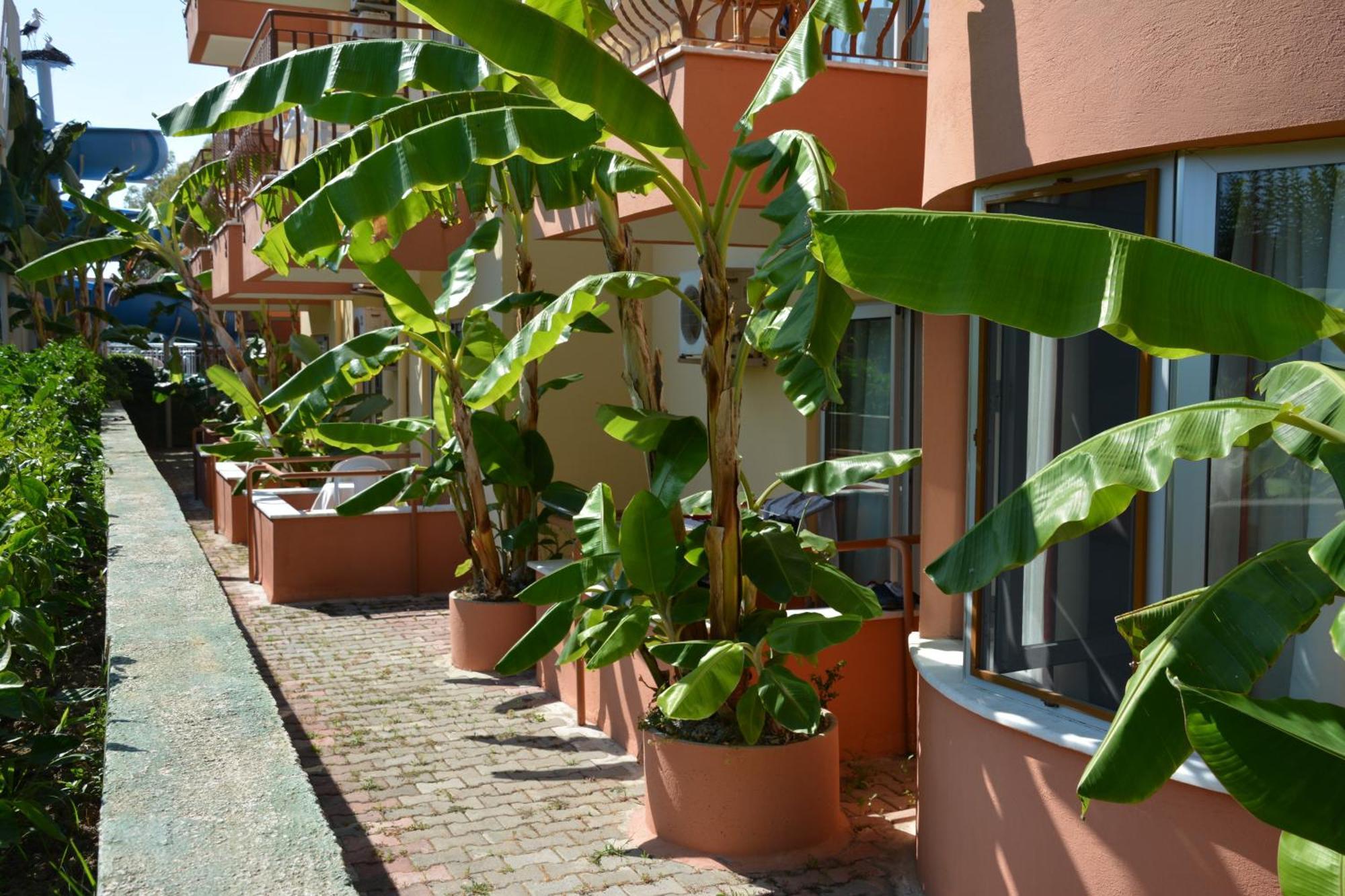 סייד Yavuzhan Hotel חדר תמונה